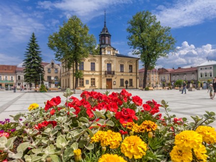 Rynek